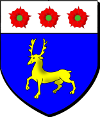 Blason de Seigneur de Thèze