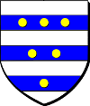 Blason de Noble homme