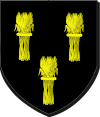 Blason de Seigneur de Jumelles
