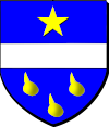Blason de Veuve de J.de Fesque