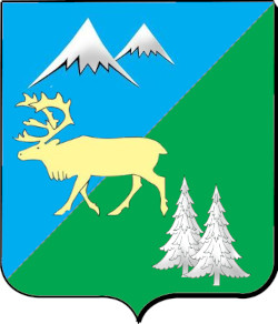 Быстринский район