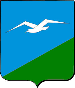 Анивский городской округ