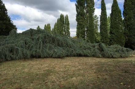 bazouges-sur-le-loir-1