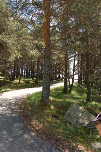 Balades à la Rochette...