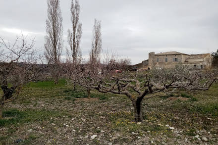 Campagne et ciel gris