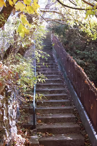 Escaliers pour monter