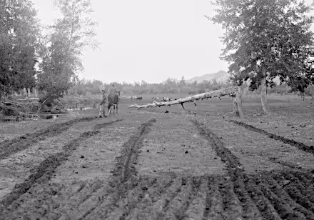 barun-khemchiksky-russia-3