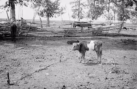 sut-kholsky-russia-2