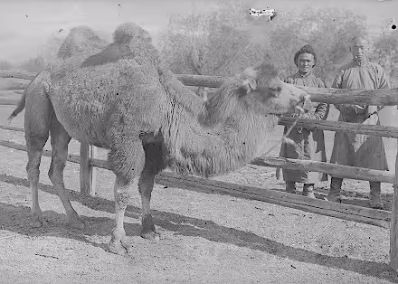 tere-kholsky-russia-2