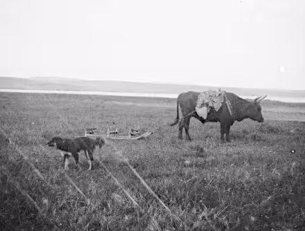 ulug-khemsky-russia-1