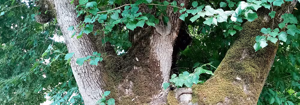 bellegarde-en-diois-1