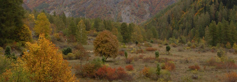 molines-en-champsaur-1