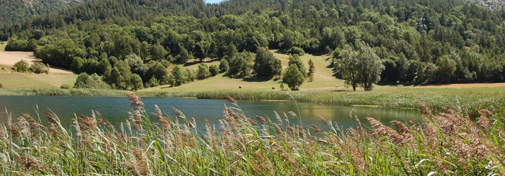 saint-andre-embrun-4